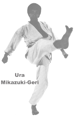 mikazuki-geri